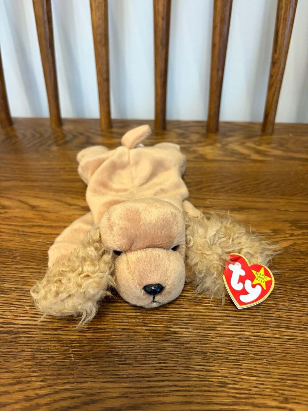Ty Beanie Babies Spunky the Cocker Spaniel Dog Plush 1997 with Tag